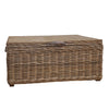 Wicklewood Grey Rectangular Trunk with Leather Handles