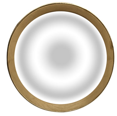 Mirror Collection Acrylic Convex Mirror with Wood Frame - MIR30