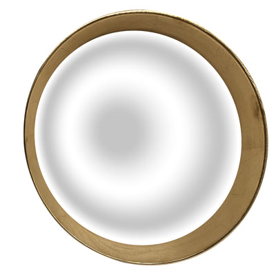 Mirror Collection Acrylic Convex Mirror with Wood Frame - MIR30