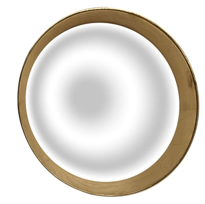 Mirror Collection Acrylic Convex Mirror with Wood Frame - MIR30