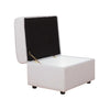 Buoyant Accent Storage Footstool